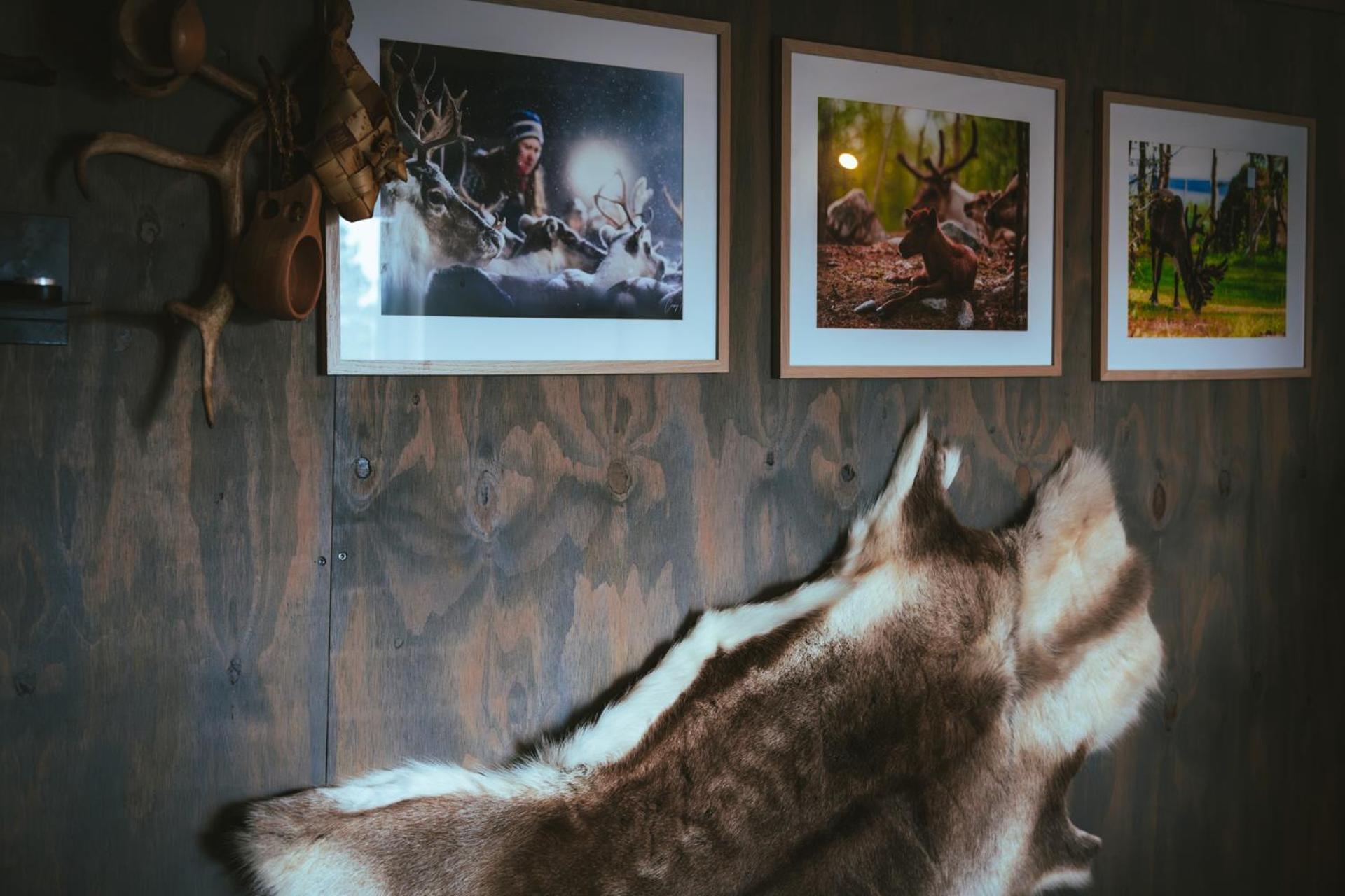 Reindeer Lodge Jukkasjarvi Bagian luar foto
